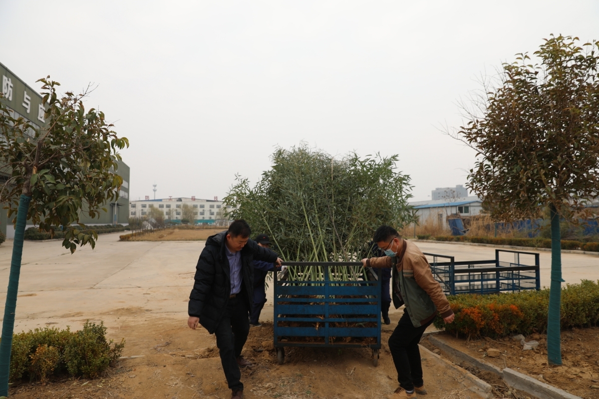 阳春三月，一年一度的植树节到来之际，为美化厂区，全发国际app科技公司全体员工举行了“你我携手，美化公司”植树节义务植树运动。