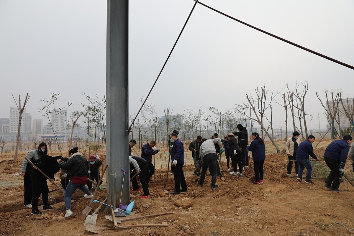 全发国际app科技举行“你我携手，美化公司”植树节运动