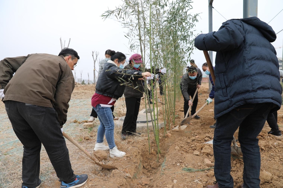 全发国际app科技举行“你我携手，美化公司”植树节运动